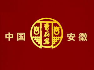 Ƴ