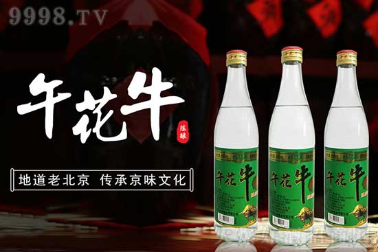 绨ţ