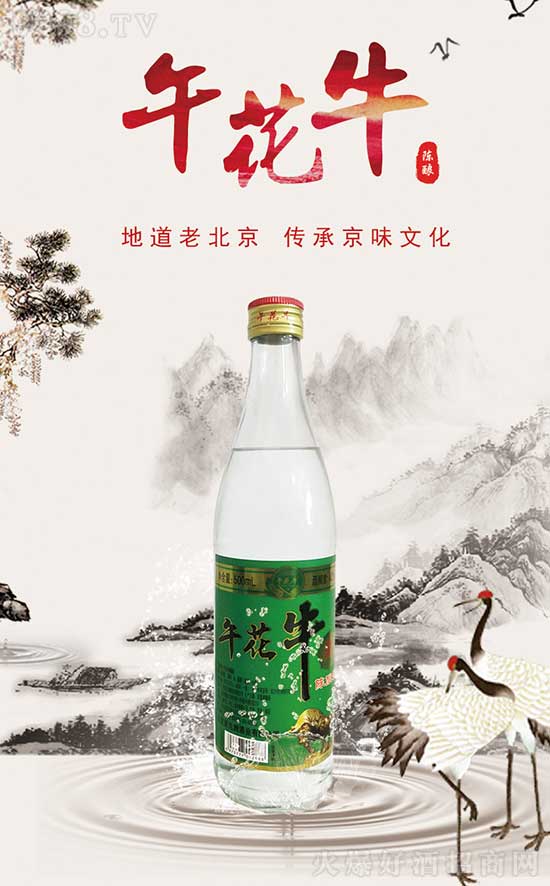 绨ţ